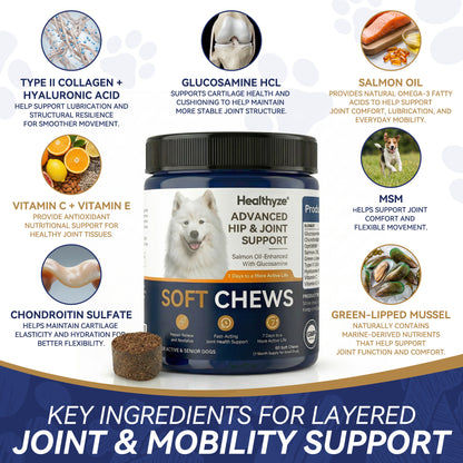 Advanced Hip & Joint Support Soft Chews, Make Their Favorite Walk Feel Easy Again.