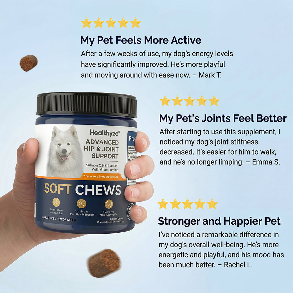 Advanced Hip & Joint Support Soft Chews, Make Their Favorite Walk Feel Easy Again.