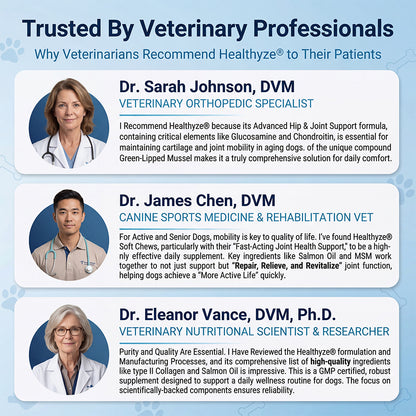 Advanced Hip & Joint Support Soft Chews, Make Their Favorite Walk Feel Easy Again.