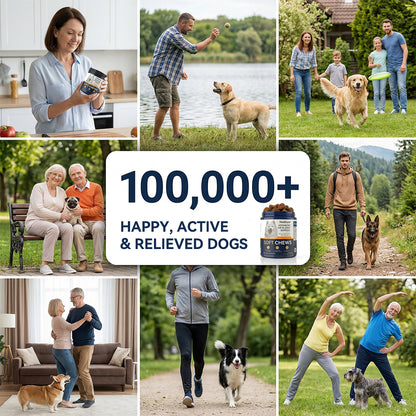 Advanced Hip & Joint Support Soft Chews, Make Their Favorite Walk Feel Easy Again.