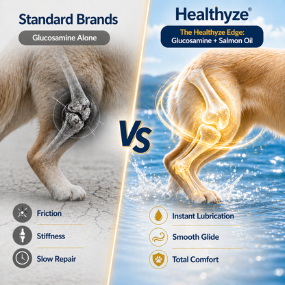 Advanced Hip & Joint Support Soft Chews, Make Their Favorite Walk Feel Easy Again.