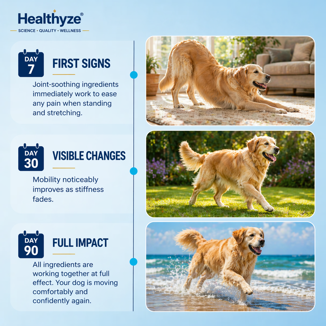 Advanced Hip & Joint Support Soft Chews, Make Their Favorite Walk Feel Easy Again.