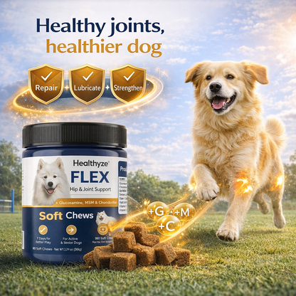 Healthyze Flex Soft Chews