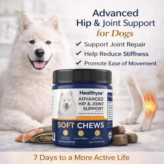 Advanced Hip & Joint Support Soft Chews